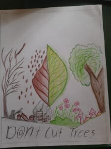 whatsapp image 2025 12 15 at 10.31.45 pm (2)