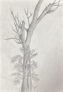 whatsapp image 2025 12 15 at 10.31.57 pm