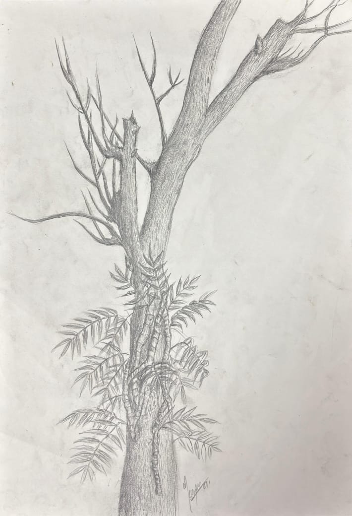 whatsapp image 2025 12 15 at 10.31.57 pm