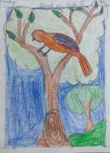 whatsapp image 2025 12 15 at 10.31.58 pm (2)